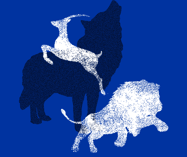 Z6·尊龙凯时(中国区)人生就是搏!